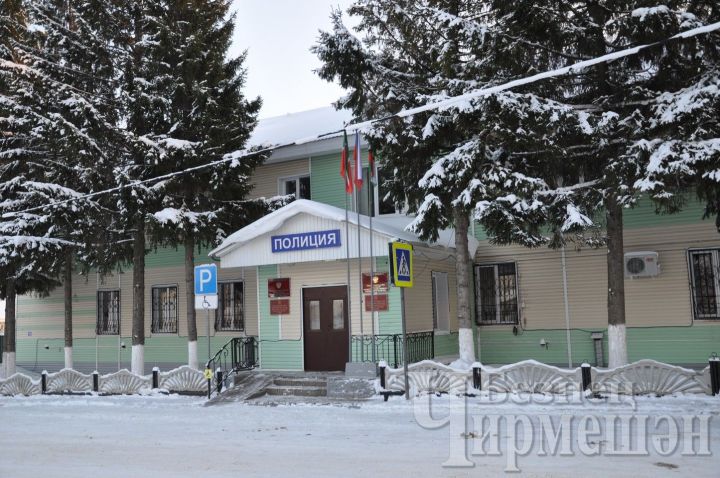 В Черемшане из торгового центра украли мясо