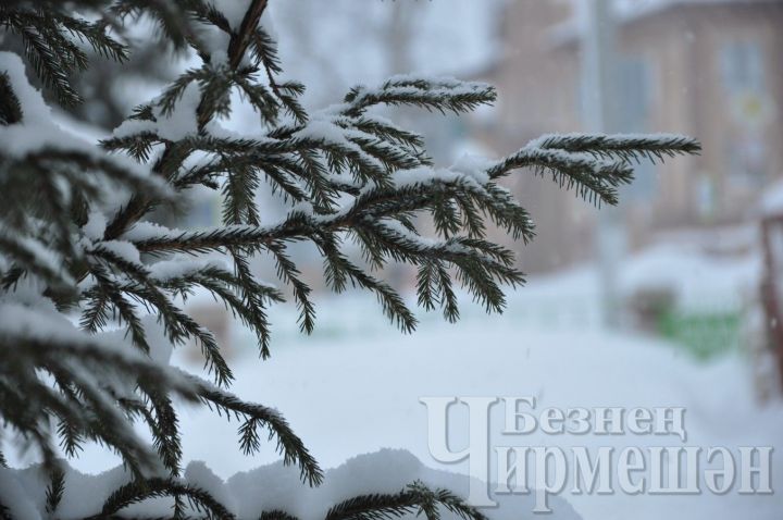 То дождь, то снег: погода в Татарстане продолжает преподносить сюрпризы