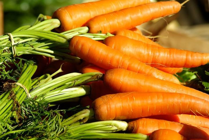 Попробуйте приготовить морковные сырники