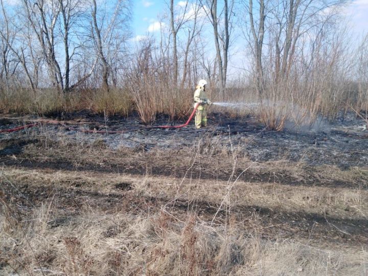 В черемшанских лесах объявлен пожароопасный сезон