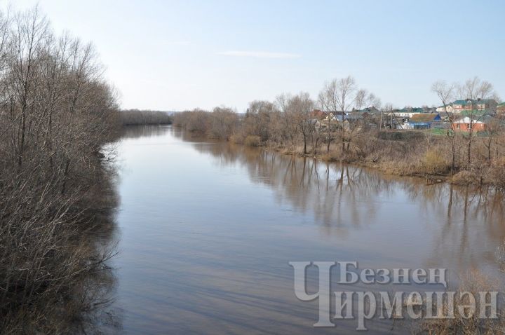 Народные приметы на 5 мая - День Луки