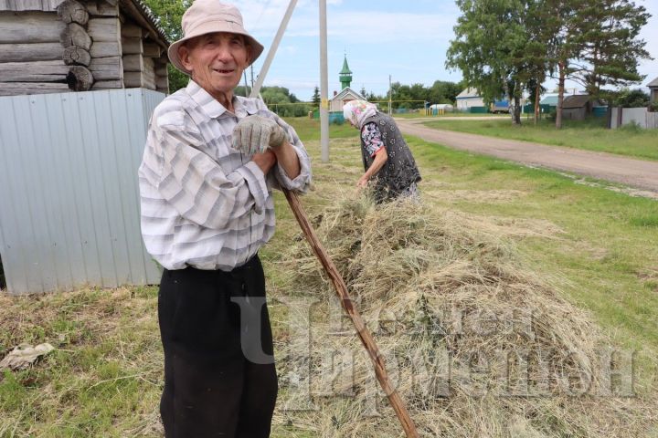 Ветераны поселка Тукай травы на сено косят в переулках