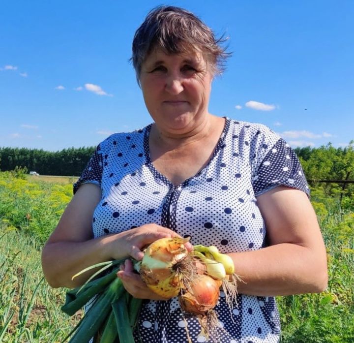 Луковод из Ибрай Каргали посоветовала подождать с уборкой лука