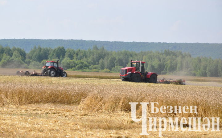 Сельскохозяйственные предприятия Черемшанского района готовят почву под посев
