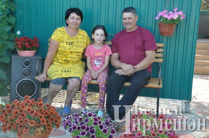 В черемшанском селе Туйметкино на рябине вырастили грушу