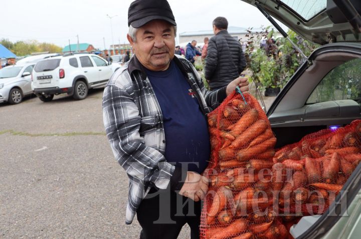 На Черемшанскую ярмарку привезли морковь