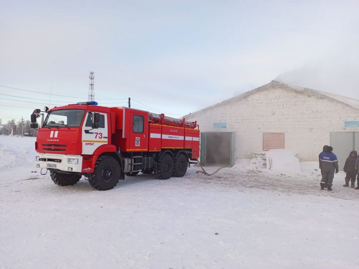 На пожаре в Аккирееве погибли 12 телят