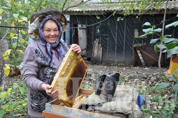 Лагерка ветераны, умарталар тыңлап, китап яза