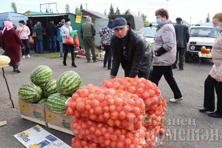 За десять ярмарочных дней фермеры продали 7315 тонн овощей