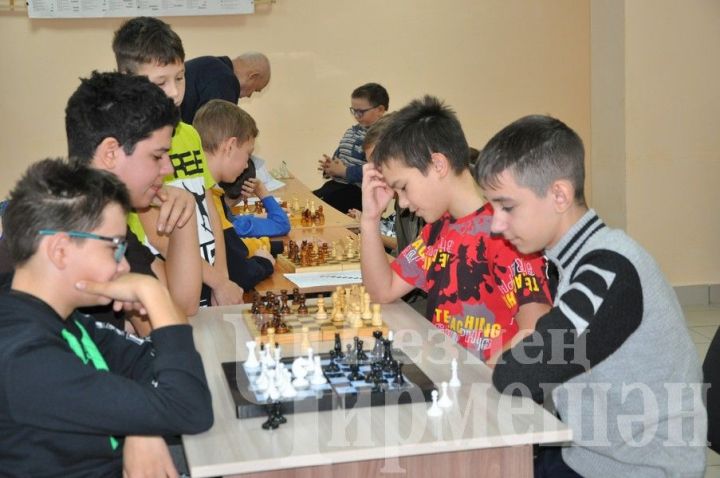 В преддверии праздника черемшанские шахматисты встретились вновь