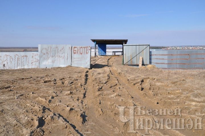 Чирмешән районында дәүләт ярдәме белән үләт базлары территориясе дезинфекцияләнә