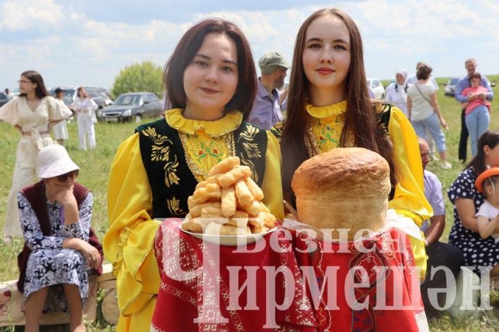 Чирмешән районы авылларындагы Сабан туйларында Илмирлар батыр калды