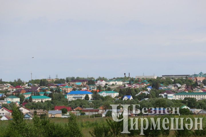 Черемшанцы могут получить профессию в Лубянском лесотехническом колледже