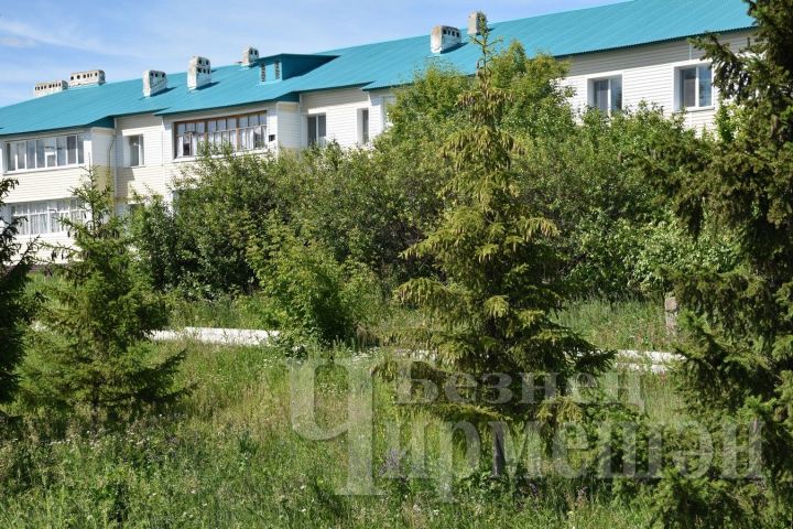 Чирмешәннең күп фатирлы кайбер йортлар тирәсен агач-куаклар басып киткән
