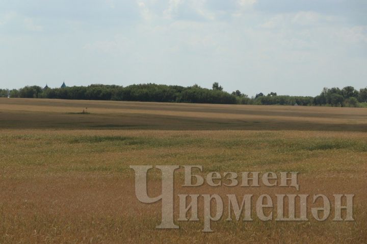 В Татарстане ввели режим чрезвычайной ситуации