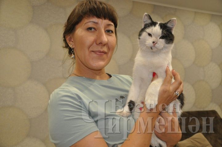 Чирмешәндә яшәүче Алевтина Андреева мәчеләр өчен районда приют ачарга хыяллана