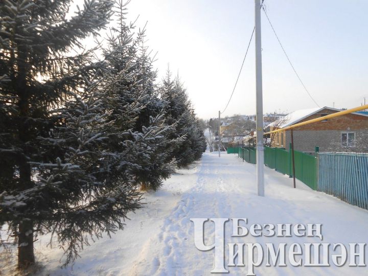 Республикада атна ахырына кадәр суык булачак