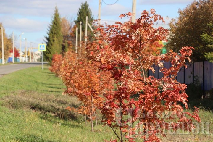 Народные приметы на 15 октября - Куприянов день