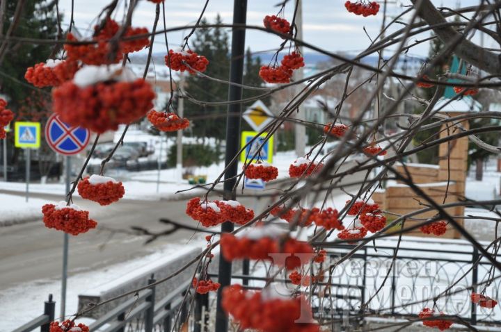 Нас ждет еще одна шестидневная рабочая неделя в конце года