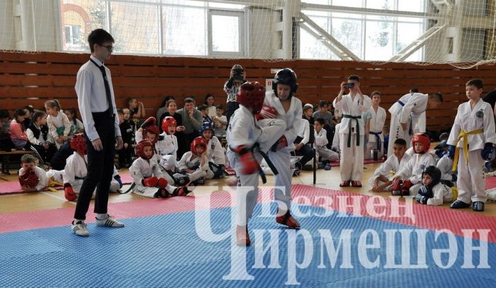 В Черемшане на кубок Деда Мороза прошли соревнования по тхэквондо