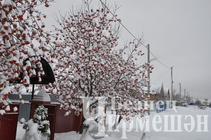 Татарстанда көчле җил көтелә