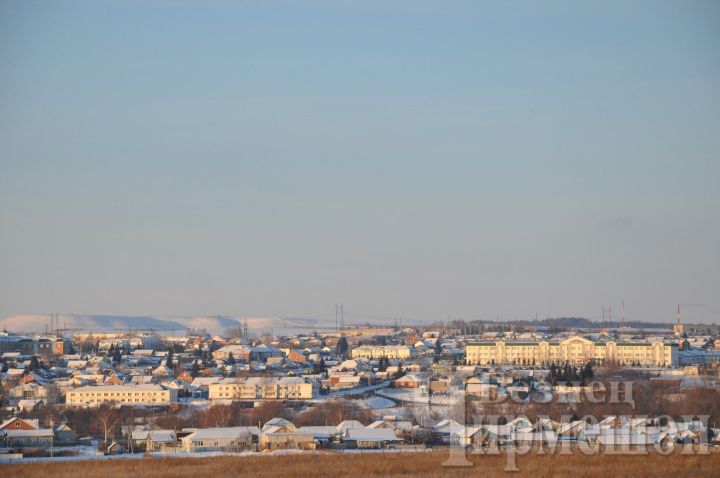В капкан Николая Романовского из Ивашкина попала рысь