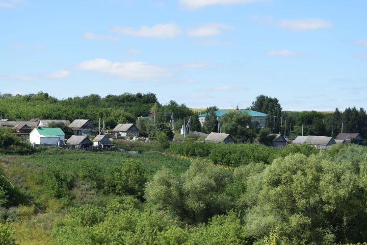 Югары Кәминкәдә Асельне Хәсәнә әбисе үстерешә