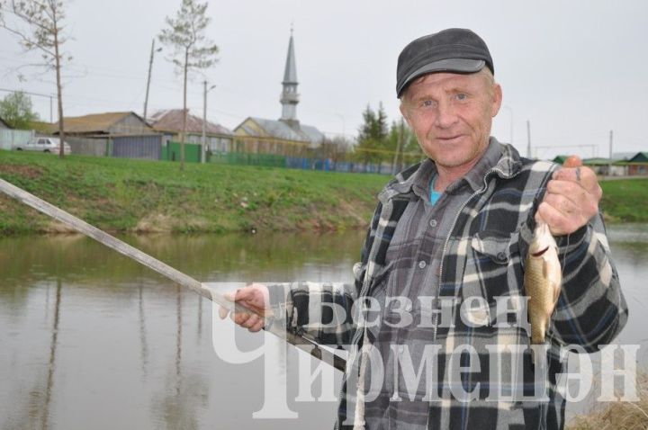 Югары Чегодай балыкчысы бу көннәрдә кармакны тирәнгә салмый
