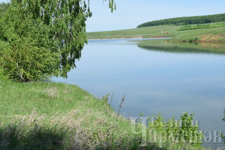 Җәен бәла аяк астында: елан чакканда, кояш сукканда, сөяк сынганда нишләргә?