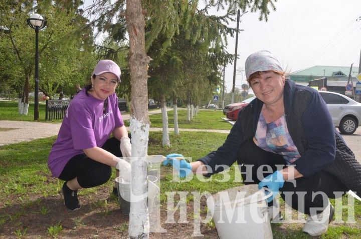 Чирмешәнлеләр санитар-экологик икеайлыкта актив катнаша