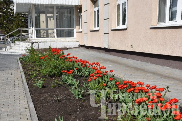 Татарстанда +21 градуска кадәр җылы булуы һәм яшенле яңгыр көтелә