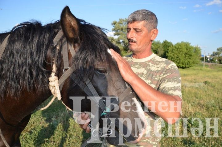 Имран Муслумов из Черемшана решил завести верблюдов