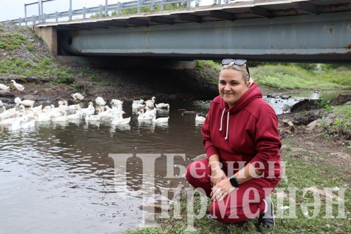 Жительница Черемшана Татьяна Герасимова 10 лет занимается выращиванием гусей