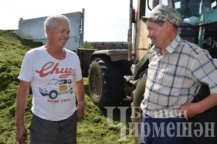 “Сөлчә” җәмгыятендә терлек азыгын запас белән әзерлиләр