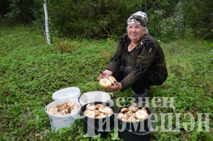 Ольга Борисова знает секреты по сбору грибов