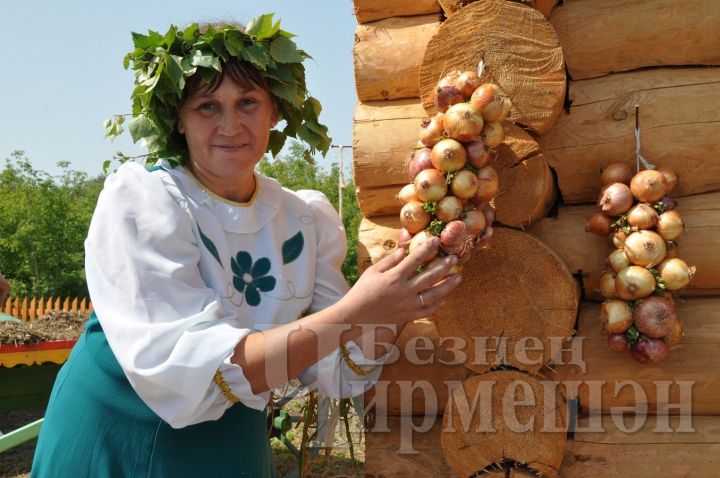 Чирмешәндә “Суган басуы”нда  көтеп калабыз