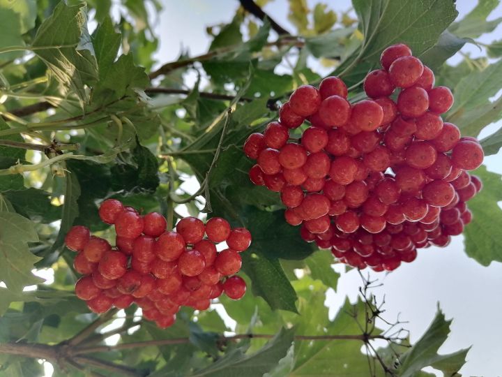 14 сентябрьгә һава торышы