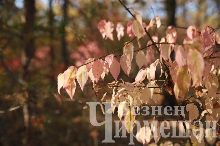 Народные приметы на 18 сентября