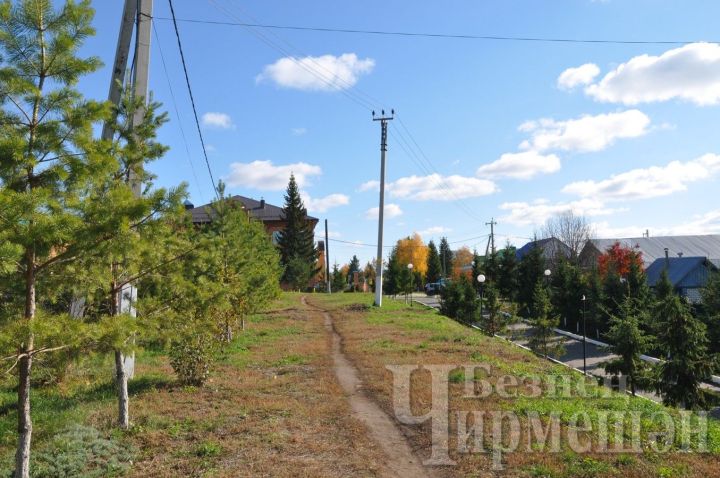 В Татарстане ожидаются дожди, грозы и до 24 градусов тепла