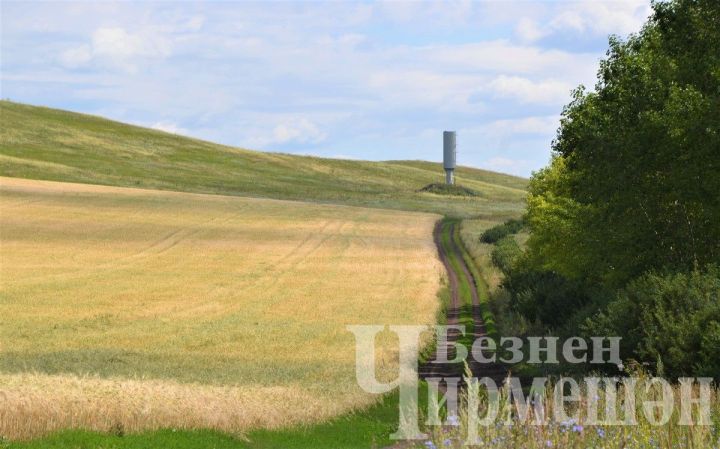 Как долго сохранится жаркая погода в Татарстане?