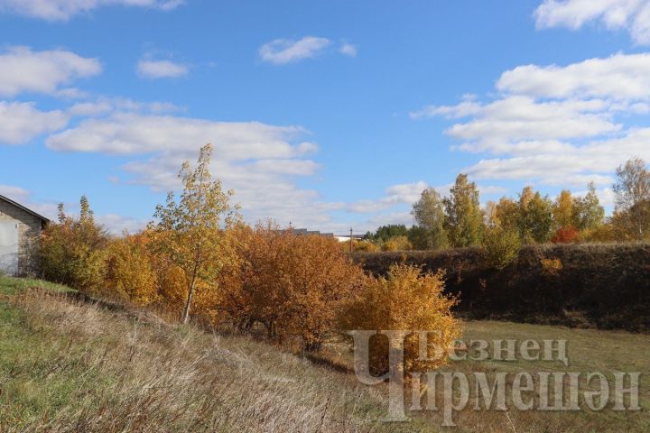 Народные приметы на 20 сентября: что можно и нельзя делать в Луков день