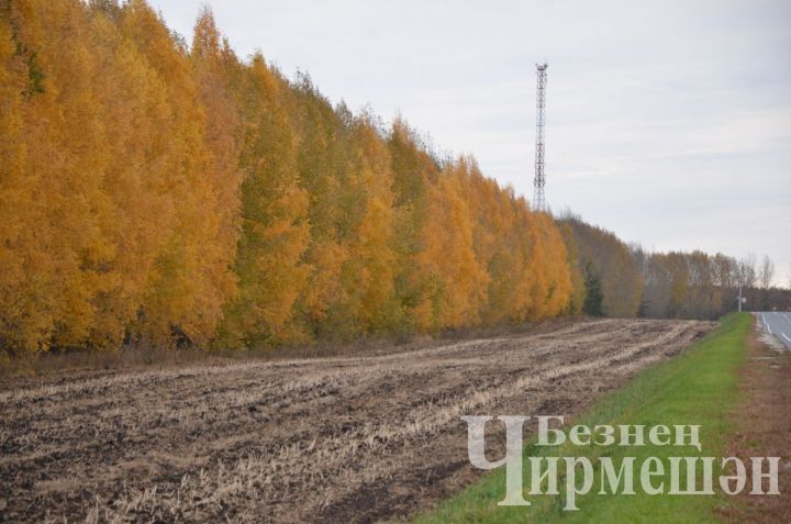 Народные приметы на 16 октября