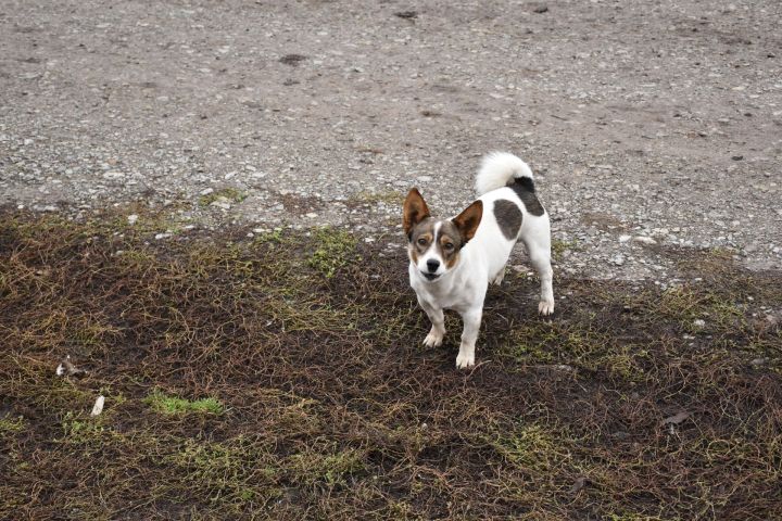 27 ноябрьгә һава торышы