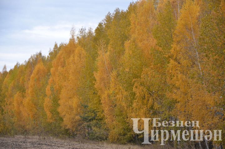 Ноябрь и март в ближайшие годы станут теплее