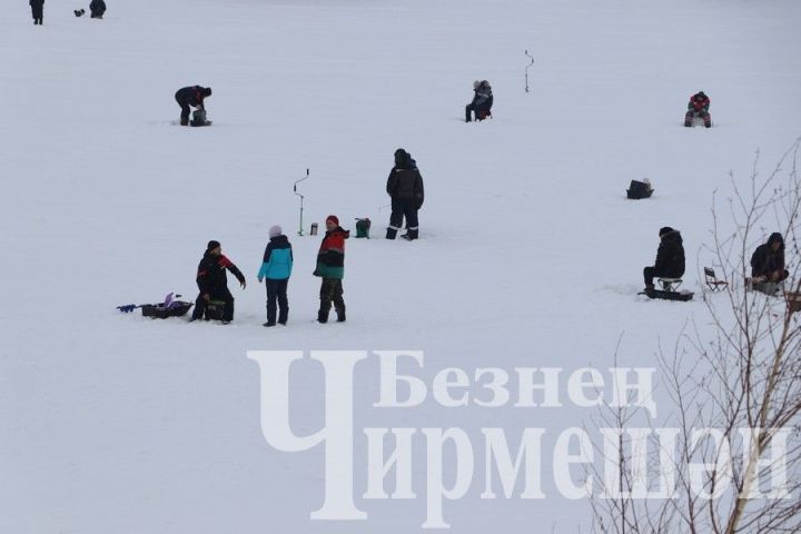 Иртәгә районда балыкчылар ярышачак
