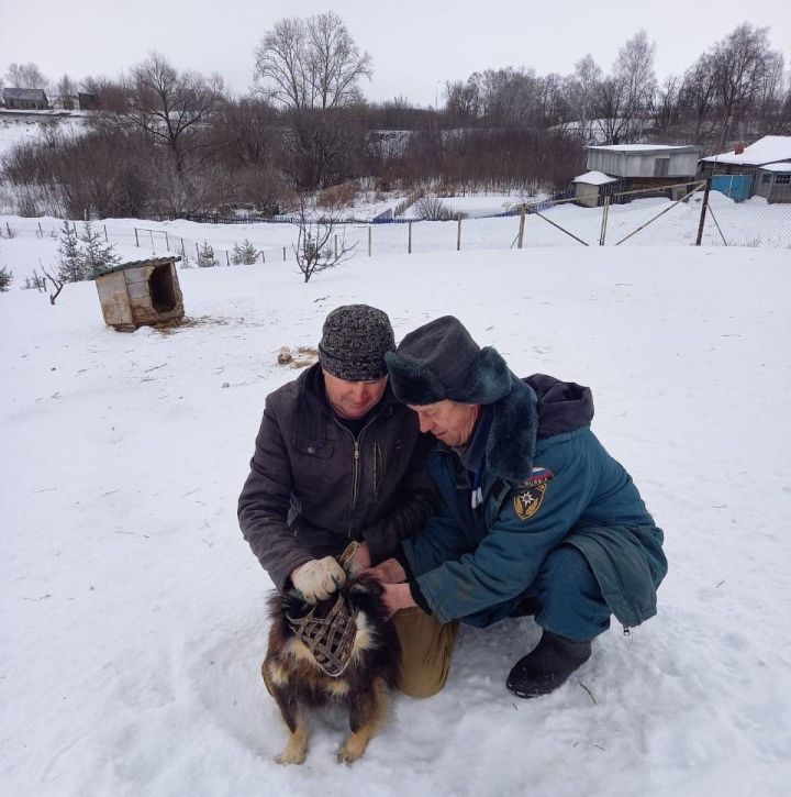 В Черемшанском районе чипировано около 200 собак