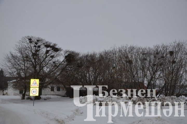 Татарстанда иртән -9 градуска кадәр салкын булачак