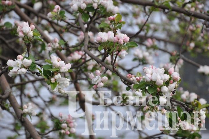 Татарстанлыларны майда ике атнага якын ял көннәре көтә