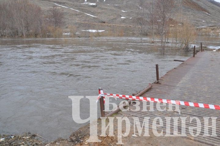 В Черемшанском районе подтопление талыми водами грозит селам, находящимся вдоль реки Шешма