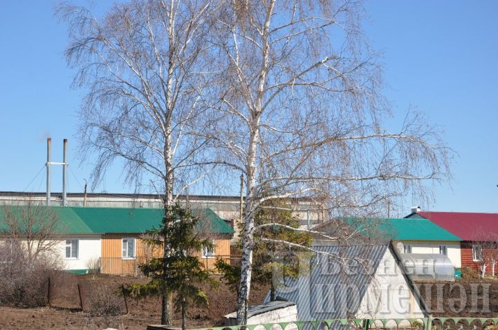 Народные приметы на 14 апреля - день Марии Египетской